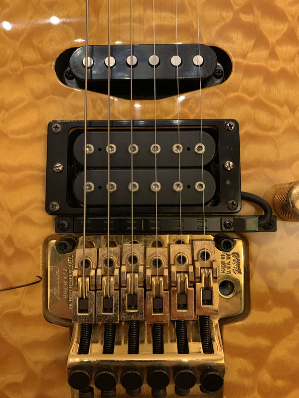 49A94FB8-2974-4F77-81AB-BB54495B63F1