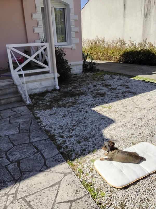 [Image: 20250917-132003.jpg]