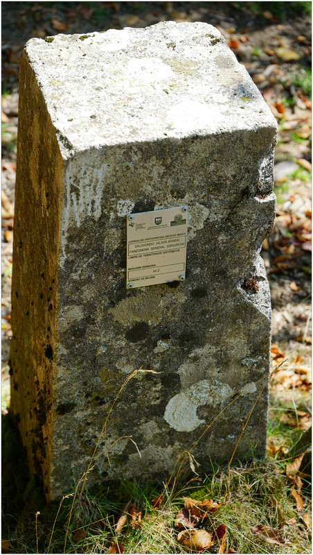 DSC08012