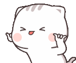 IMG-6880.gif