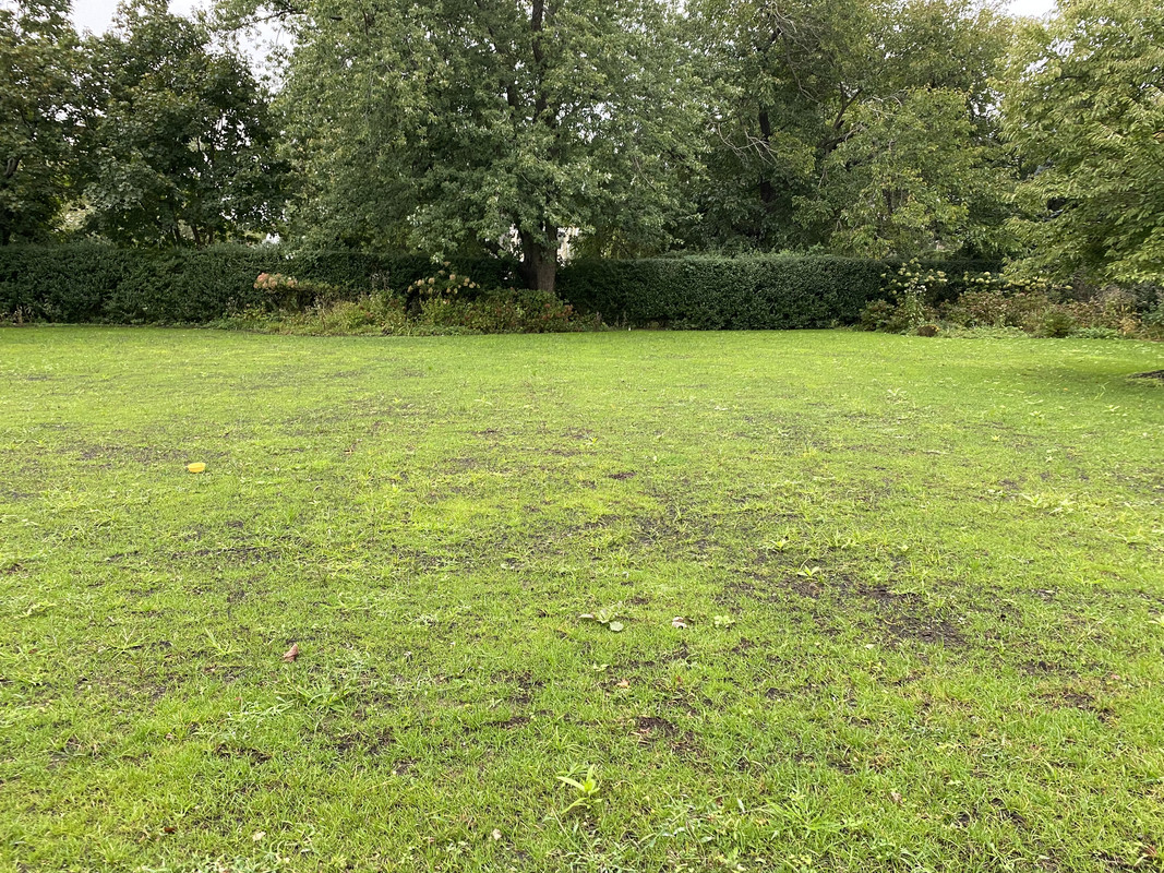 7CEC0E94-53E2-4385-A1EC-0318D88B6404