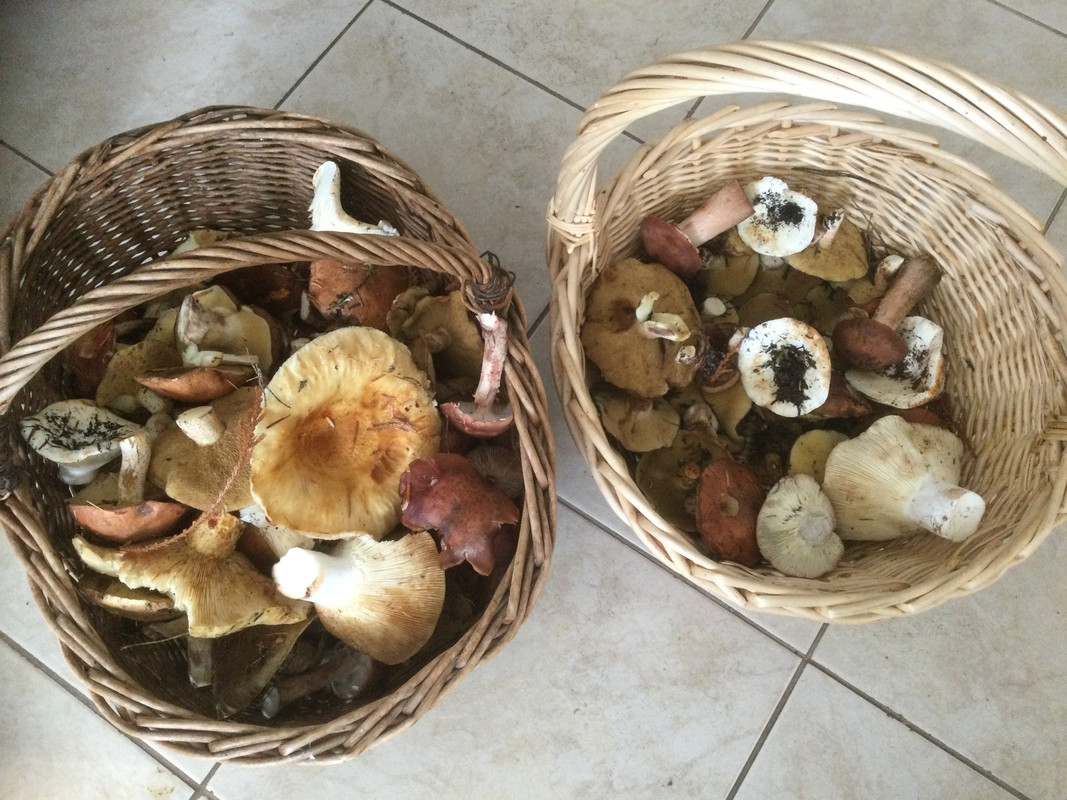 155DCD0F-6894-4AD6-A47B-31622DC21D72