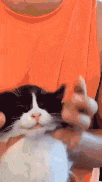 884b.gif