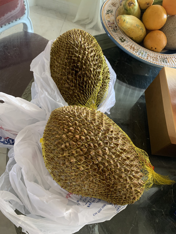 0A61CE7C-6B1E-4E93-A639-219E8EAE8D04