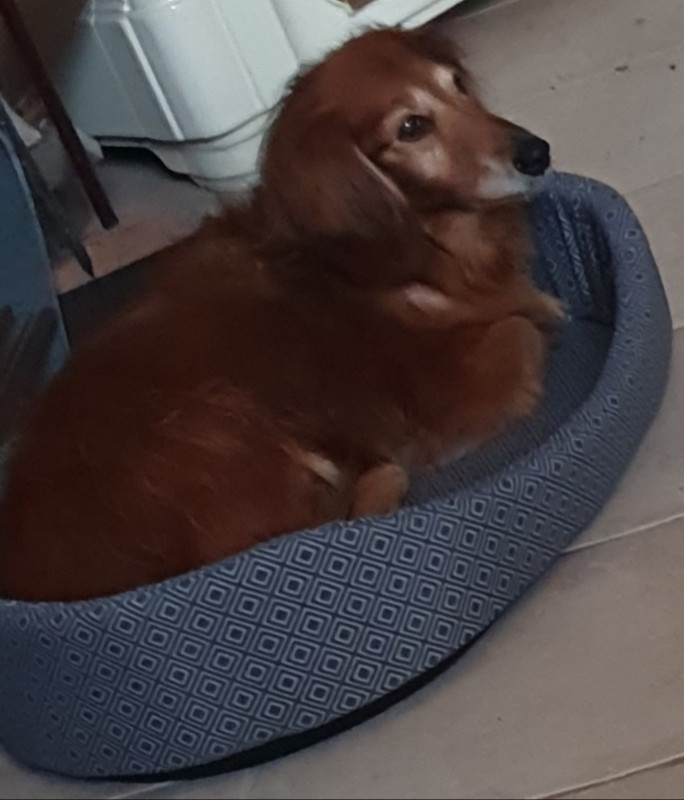 [Image: 20221104-170734.jpg]