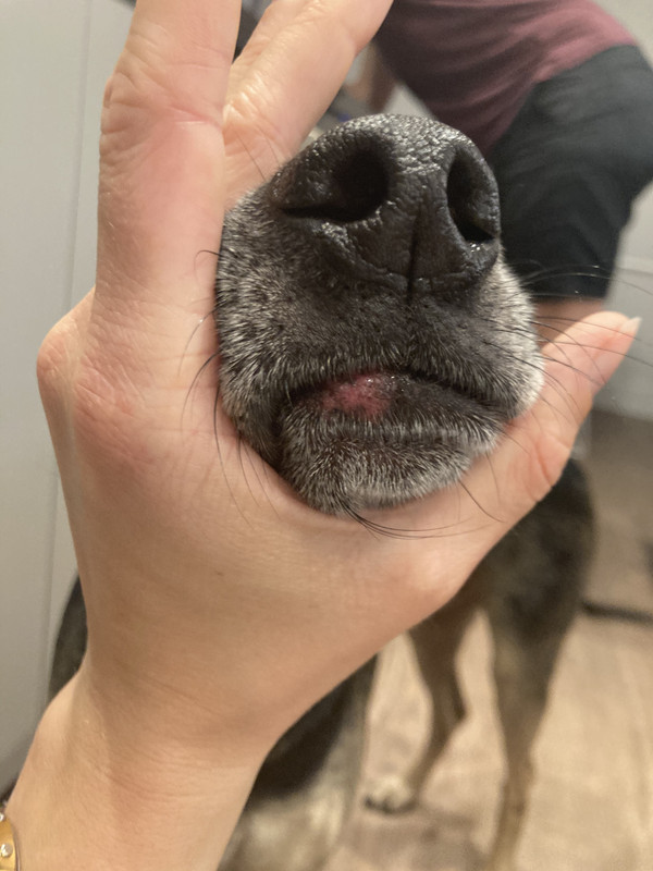 ADBBF931-35B5-4733-8434-D4D1460E551E