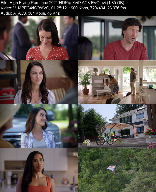 high-flying-romance-2021-hdrip-xvid-ac3-