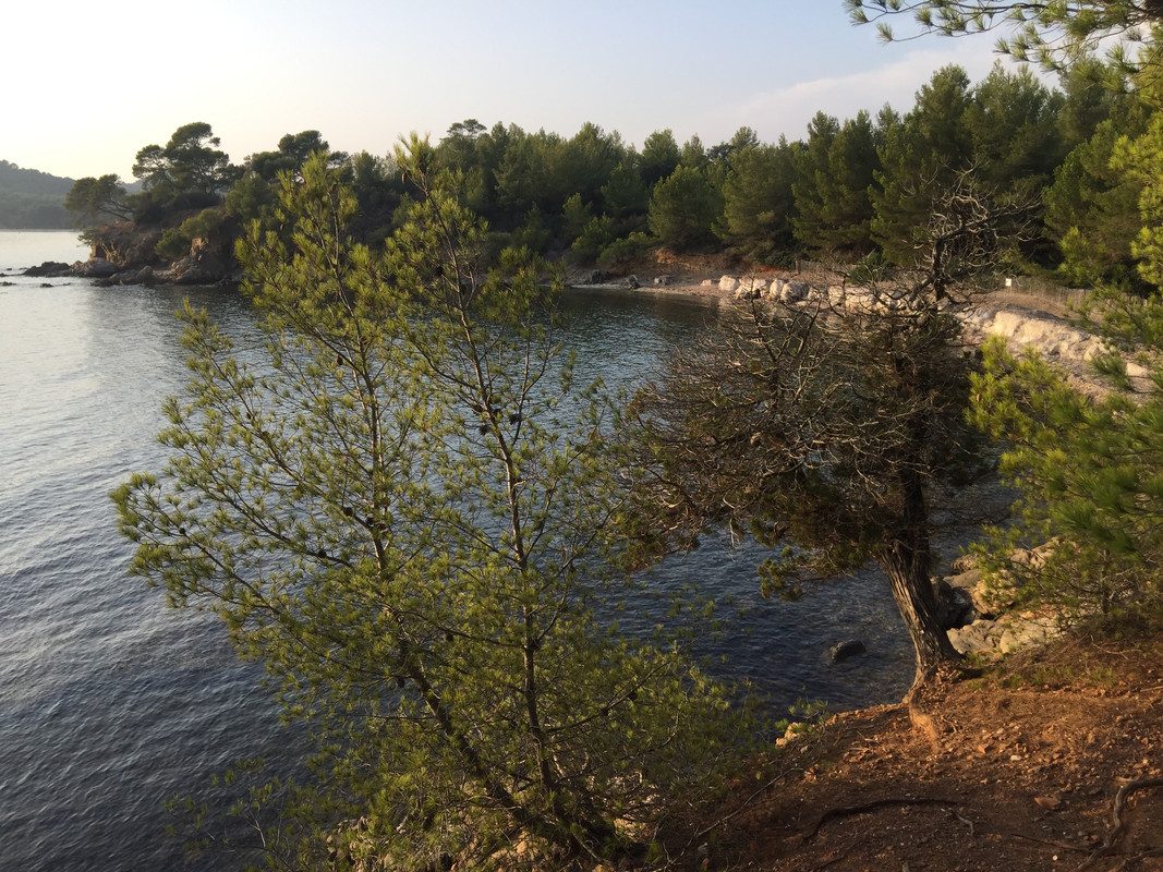 295F25CE-87D8-4118-A839-5D69F9AB44BE