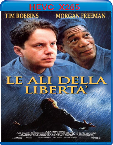 Le Ali della Libertà (1994) mkv FullHD 1080p HEVC AC3 ITA ENG Sub