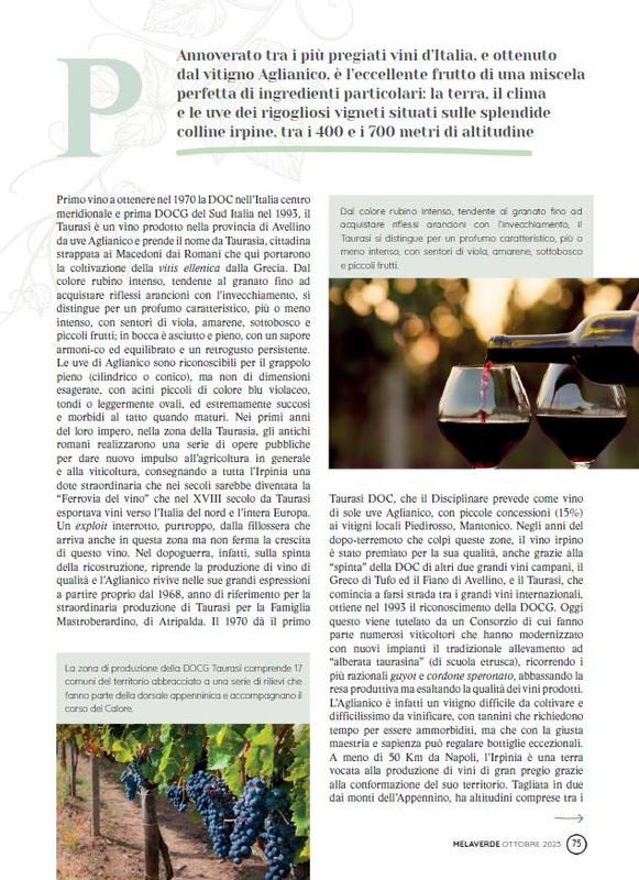 melaverde Ott 2023 (6)