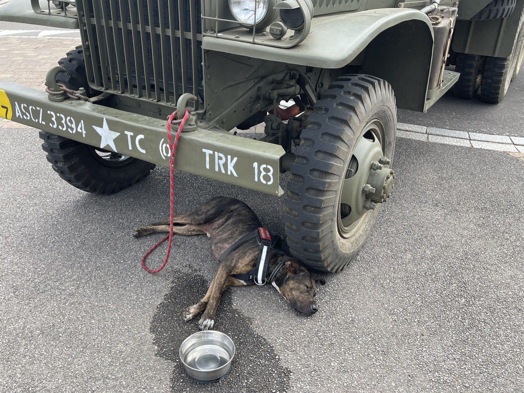 BDE0B5EB-22E9-4E5A-801D-EF69FA0CF98F