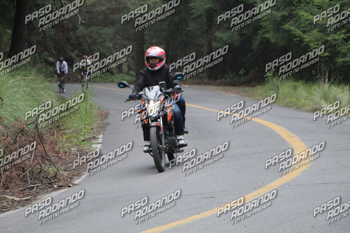 IMG 6182 wm 757649 3 watermarked — Postimages