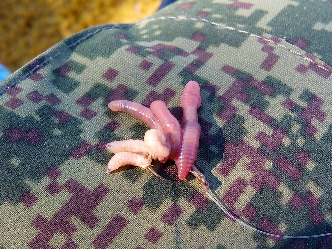 КамГЭС 11.05.15 07