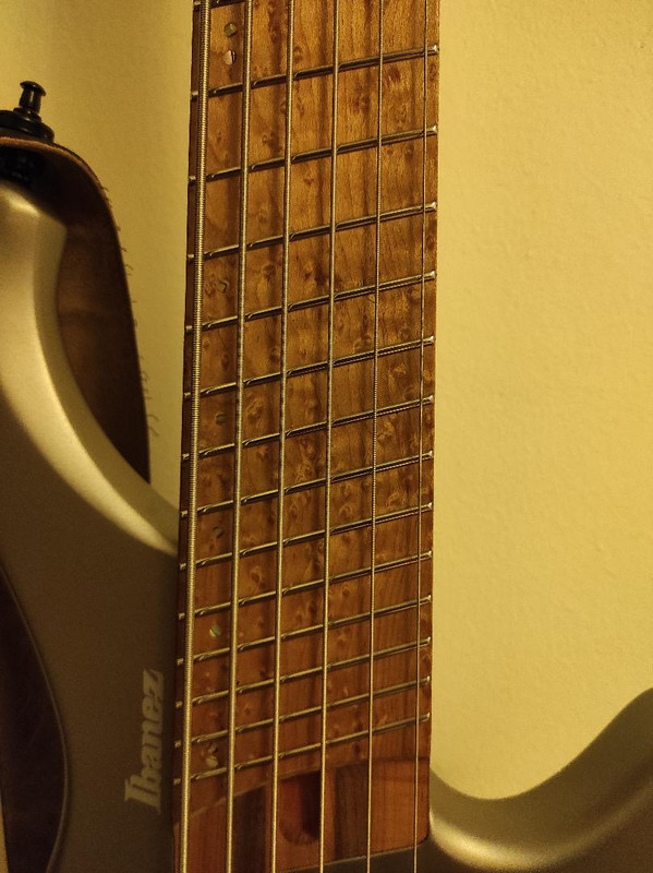 Ibanez 1006-3