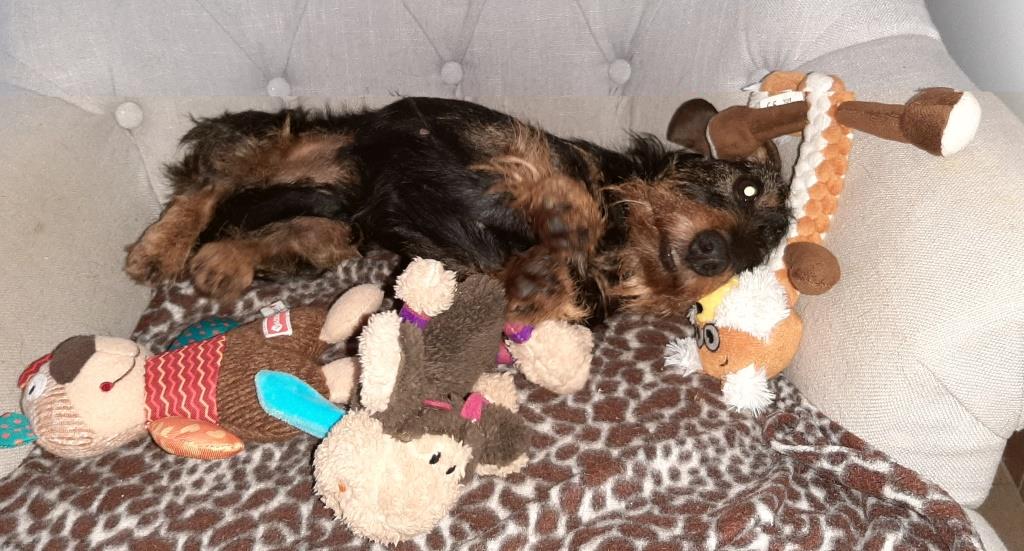 [Image: 25-10-2020-web.jpg]