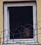 oger.png