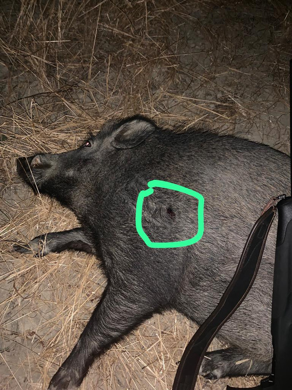 EE2A4884-8E03-4AEF-BD80-BBC2141FCB51