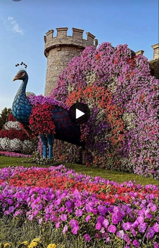 Screenshot_20230611_231709_Pinterest