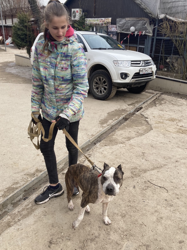 AE685973-B5AB-4C0A-A6D3-22AA40E45F0B