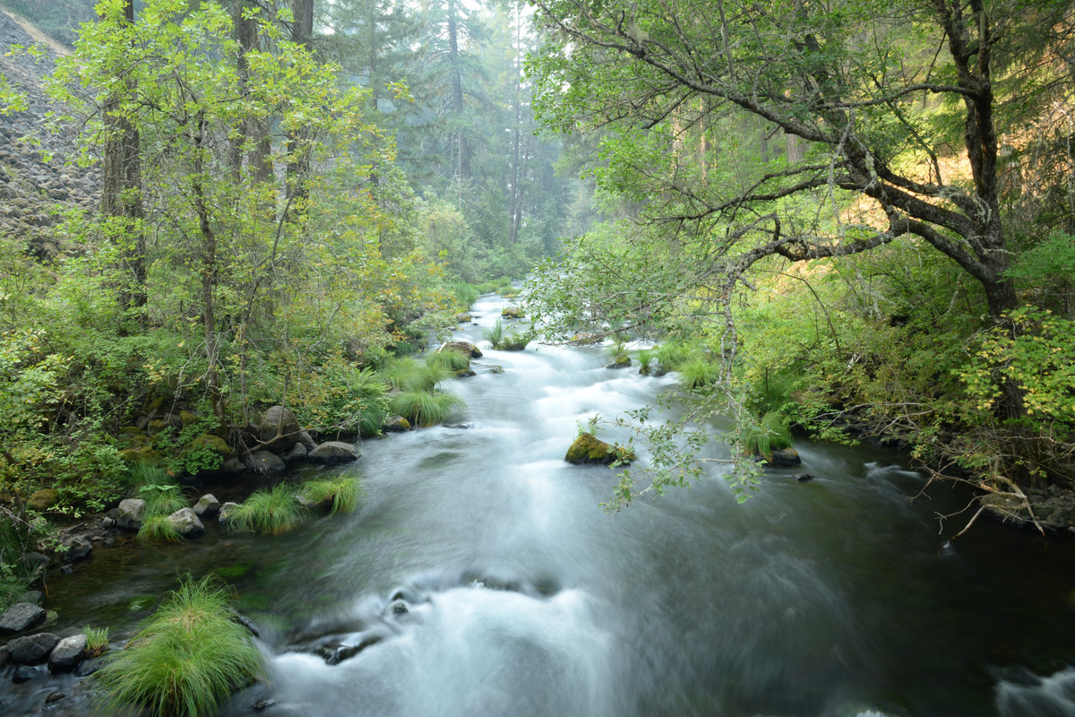 Árboles gigantes, fuegos y volcanes extintos - Oregon y California norte (2018) - Blogs de USA - Primeros días en el norte de California (30)