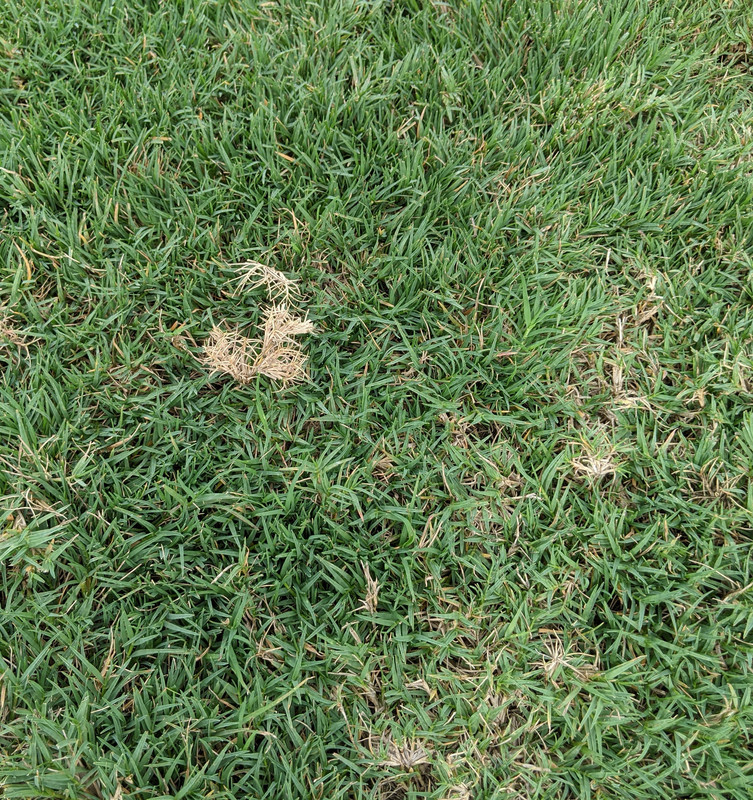 PXL_20200823_205320192.MP