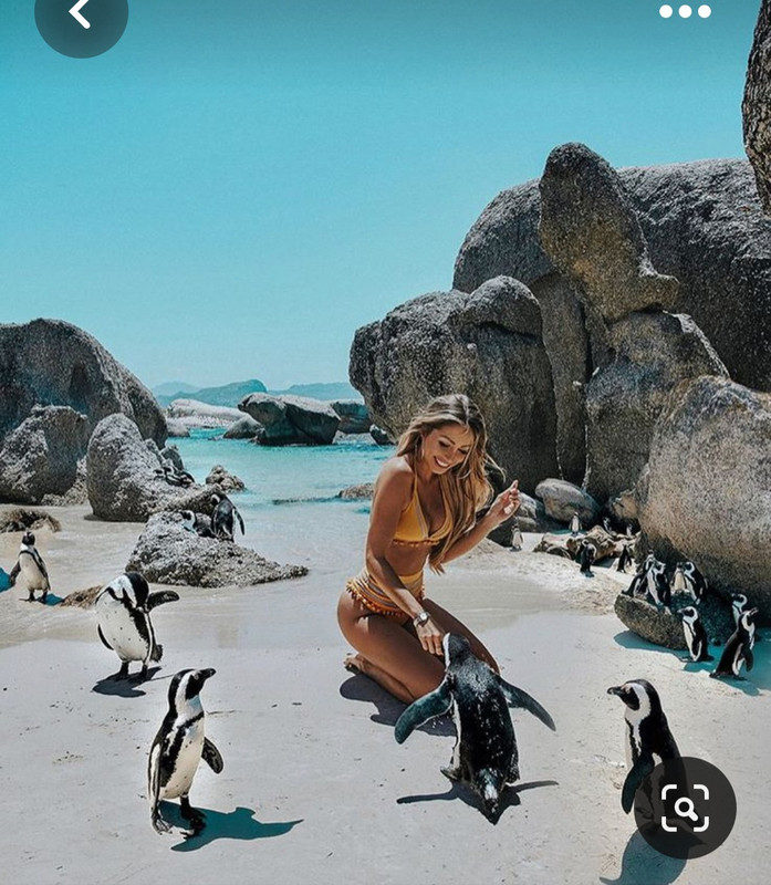 Screenshot_20230515_111834_Pinterest