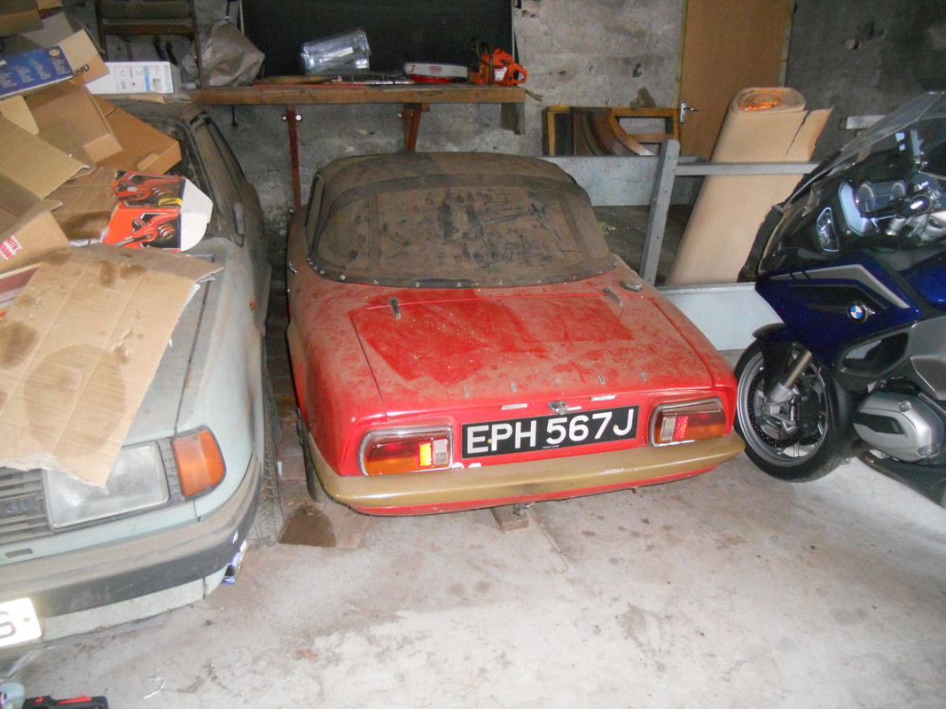 Elan1