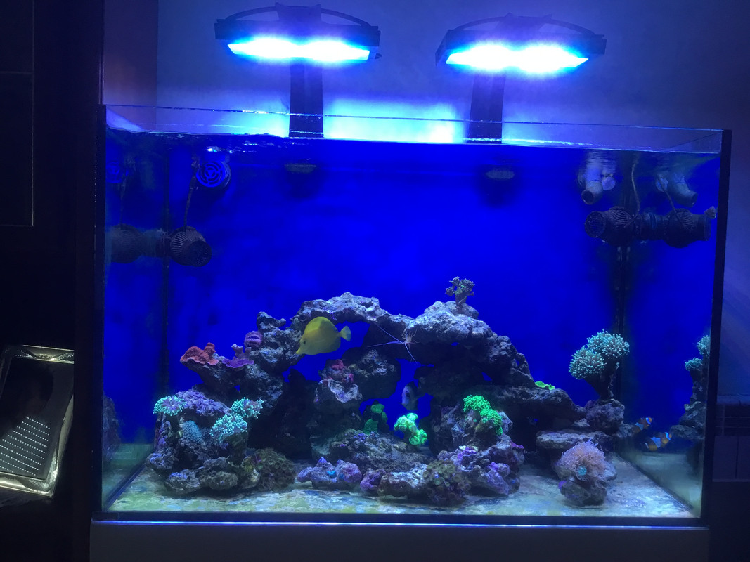 3472614D-AD84-4FBB-B262-51820562312E