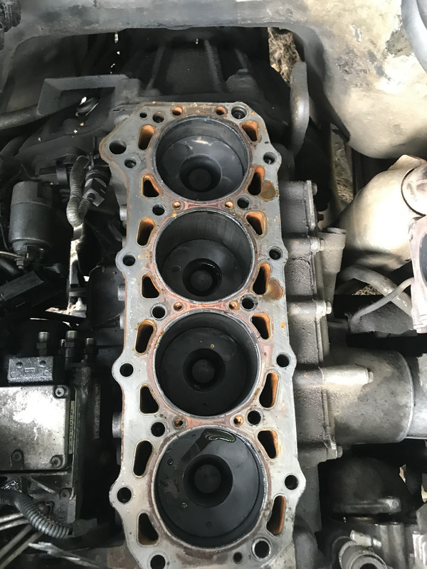 16FF9069-FC32-4D08-9648-728160018392