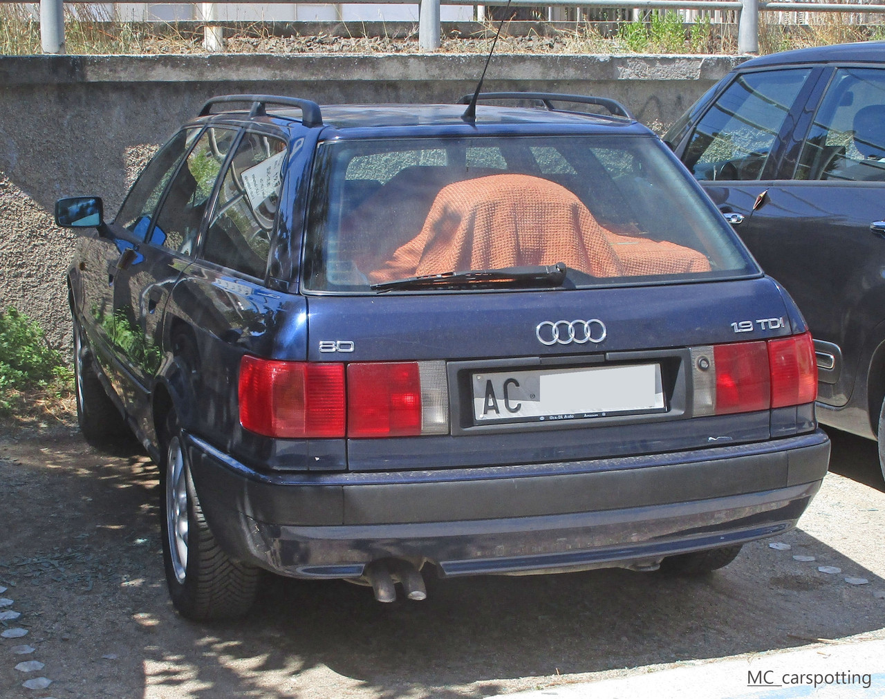 IMG-8733.jpg