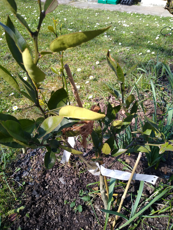 IMG_20220322_122706854