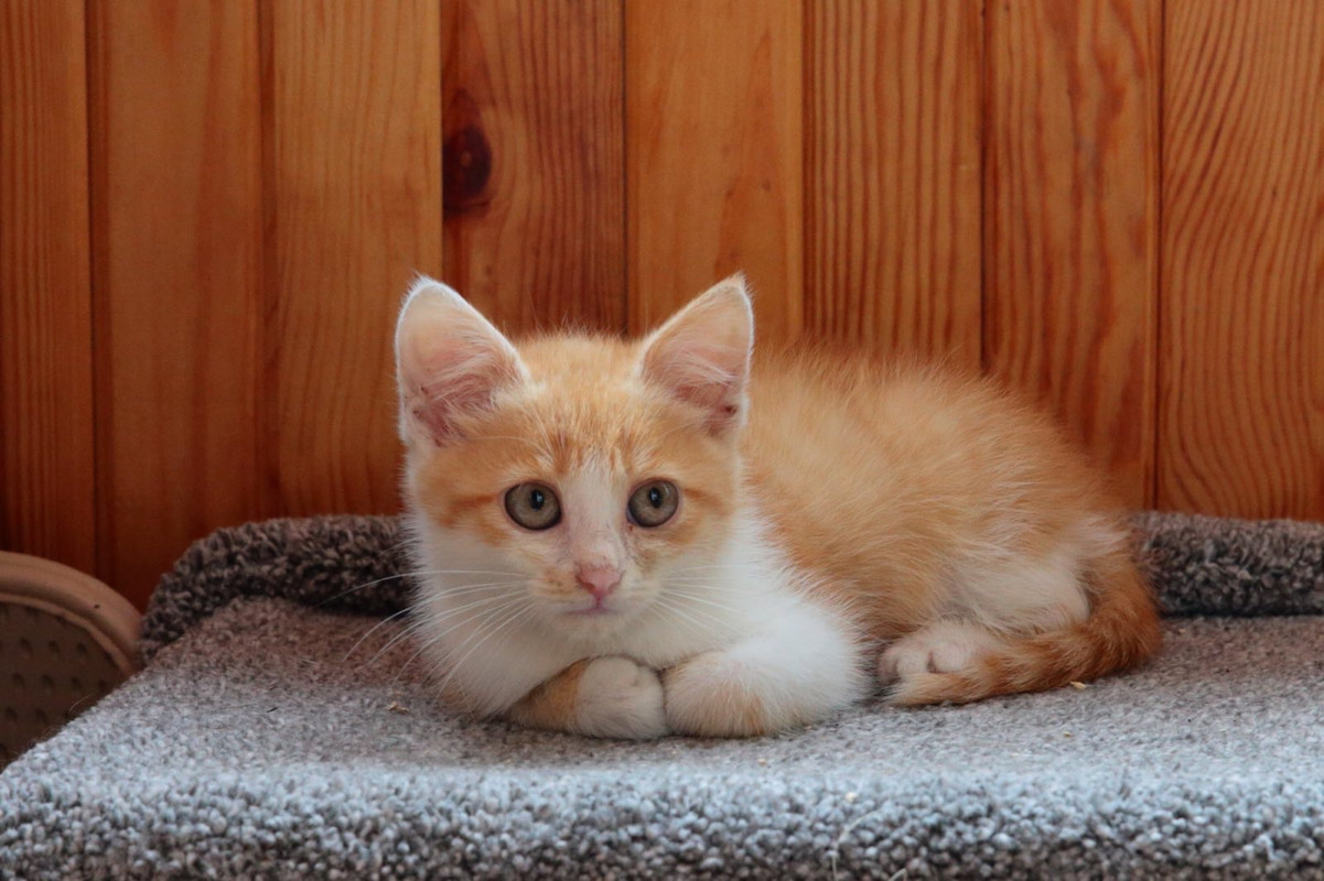 B9253445-71E7-4D49-879B-0C0CD28D9FDC