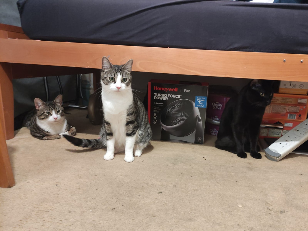 WhatsApp Image 2025-06-23 at 18.09.34(1)