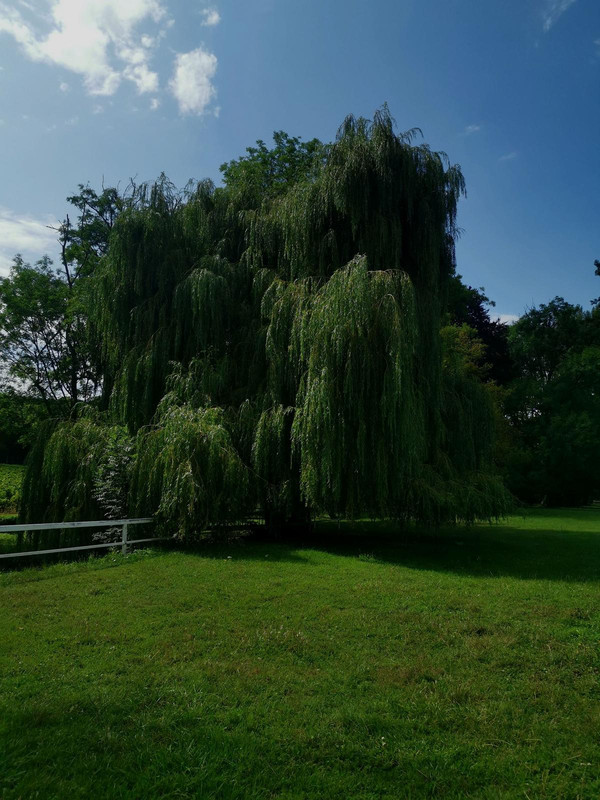 Bourgogne2019 (38).jpg.1