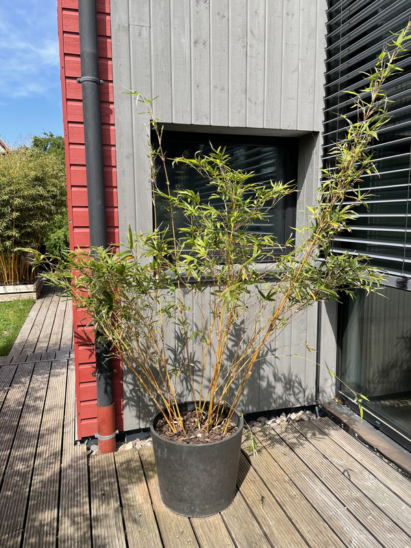 2C351E94-9DE5-4E72-B225-CD0F9DF5F0AD