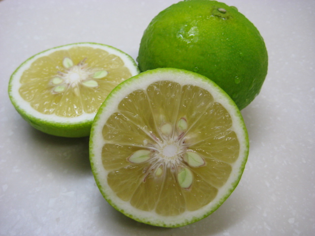 元寇（ゲンコウ）genkou