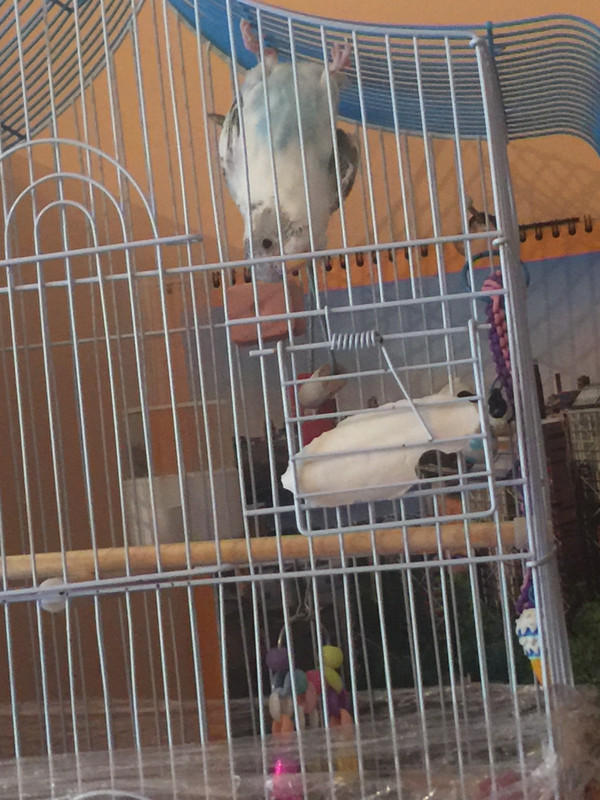 EB774884-4EC9-4970-9969-C26A0EFB0871