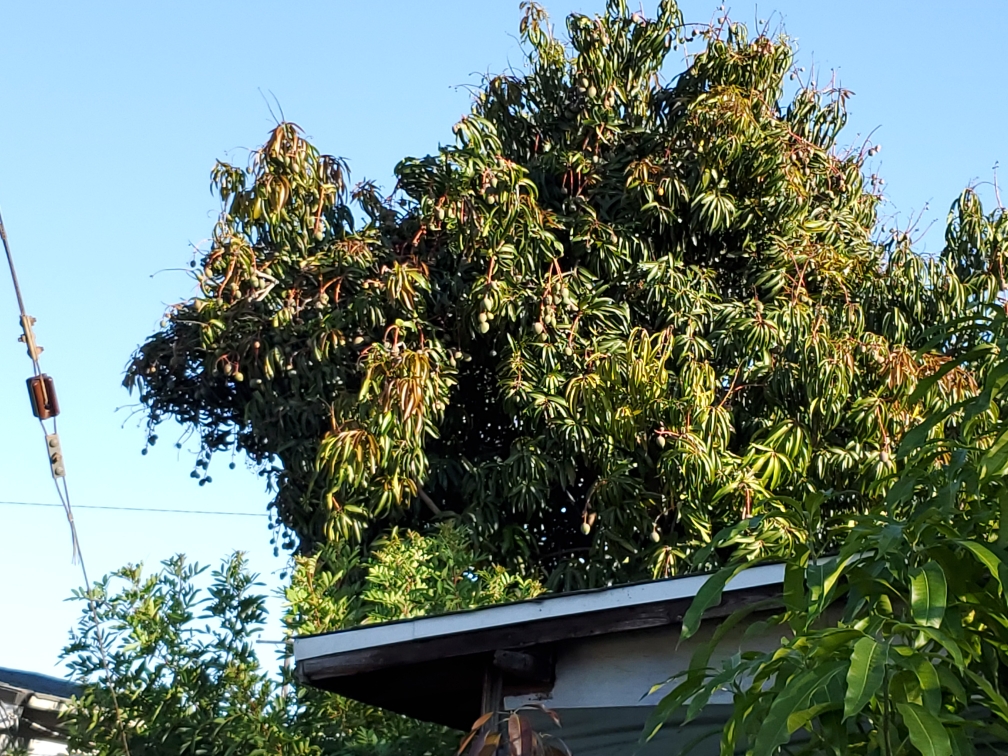 6501C7FC-CA69-4765-86B2-F3564DA43346