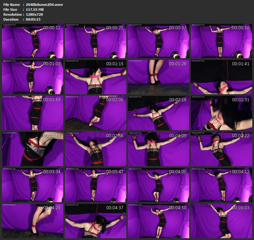 204Bbdsmm204.wmv
