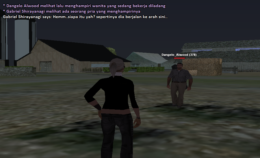 SS3.png