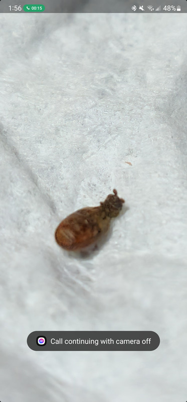 Screenshot_20230125_015644_Gallery