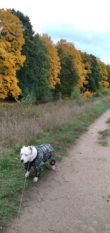 95C70A74-BC69-4340-A017-CBA68D2227E5