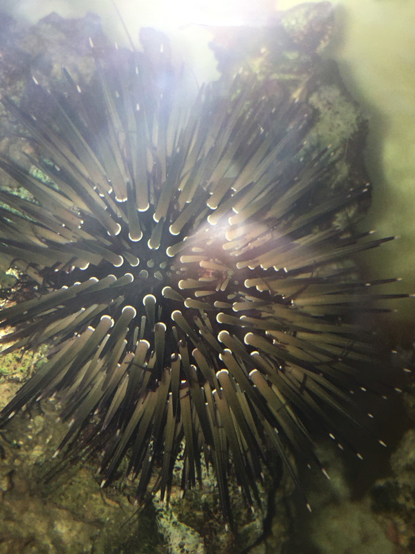 55DE82E1-9039-4CC0-86D6-F40731968043