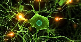 Data Science  Deep Learning in Python (updated 7 2020)