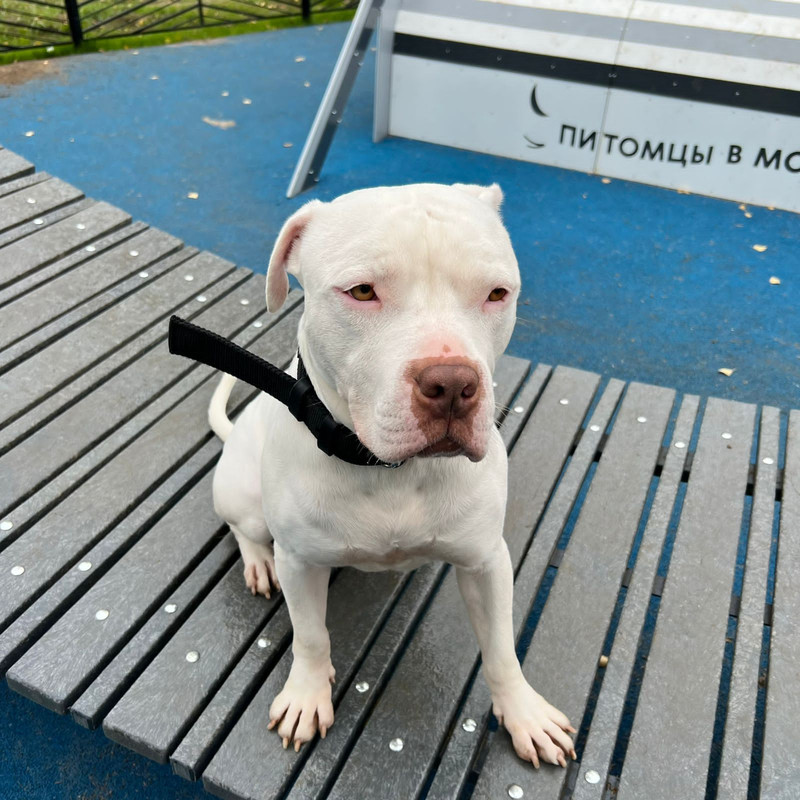 7D37C1AB-8E56-4F51-9C7D-05B33C58B96C