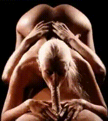 [Image: gif-240.gif]