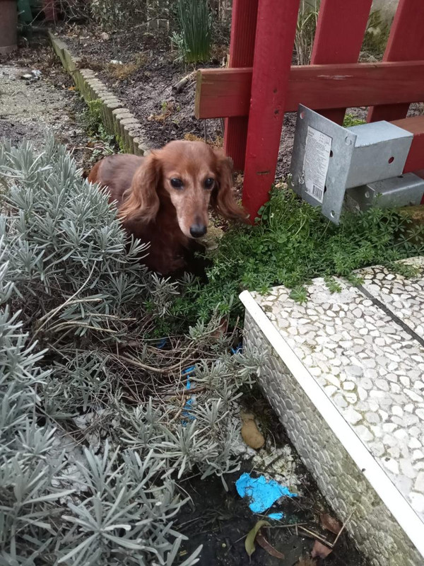 [Image: image000000-158.jpg]