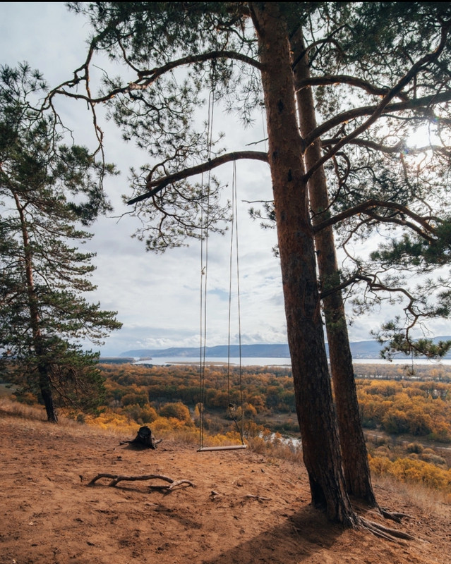 D6BB1F0F-387D-4FF9-84FD-D3CA7159354E