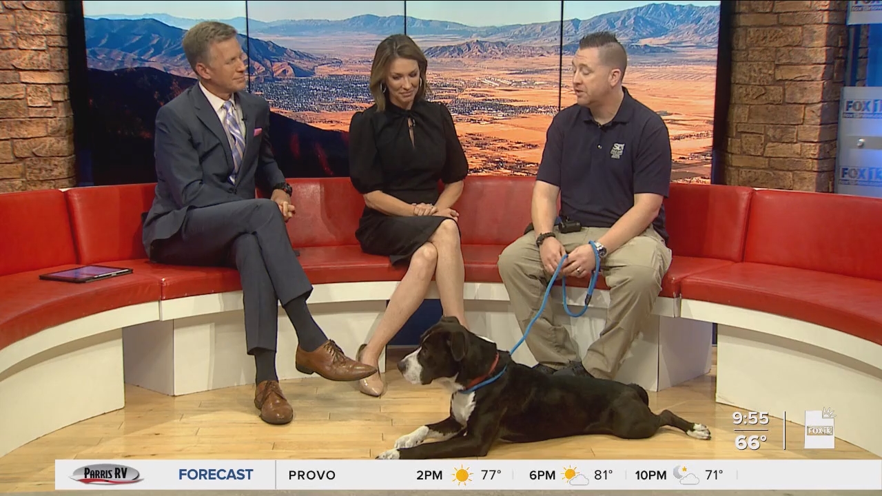 10.04 - 16.00.00 - FOX13 News  Good Day Utah 9AM  ᴺᵉʷ. Utah news, wea....ts_snapshot_00.57.30.506