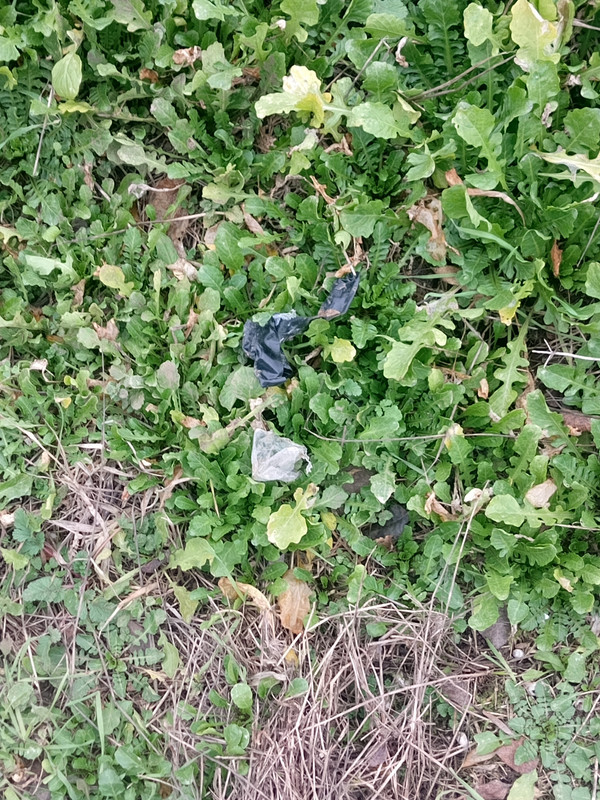 IMG 20251218 155421 056